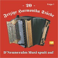 D' Neuneralm Musi – 20 Fetzige Harmonika Stücke - Folge 1