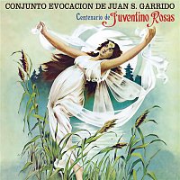 Centenario de Juventino Rosas