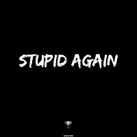 Diamond Audio – Stupid Again