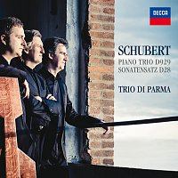 Schubert: Piano Trio D929 - Sonatensatz D28