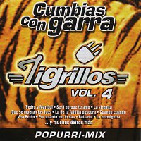 Los Tigrillos – Cumbias con Garra Vol. IV *
