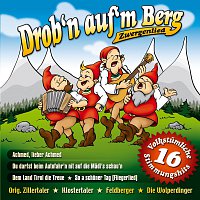 Přední strana obalu CD Drob'n auf'm Berg
