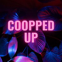 Různí interpreti – Coopped Up