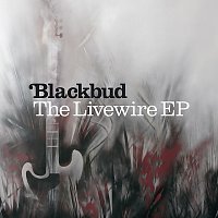 Blackbud – The Livewire EP