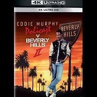 Různí interpreti – Policajt v Beverly Hills II