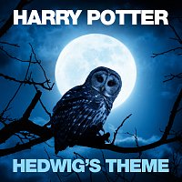 Czech National Symphony Orchestra, Prague, Paul Bateman – Hedwig's Theme [From "Harry Potter And The Philosopher's Stone"]