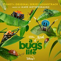 Přední strana obalu CD A Real Bug's Life [Original Series Soundtrack]