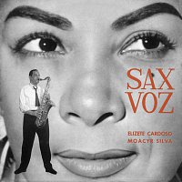 Přední strana obalu CD Sax - Voz