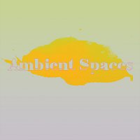 Různí interpreti – Ambient Spaces