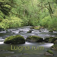 Uffe Borjesson, Rey-Ove Karlén – Lugna Rum (The SPA Collection)