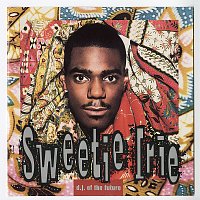 Sweetie Irie – D.J. Of The Future