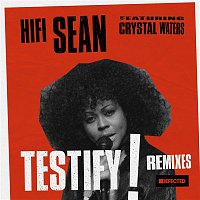 Testify (feat. Crystal Waters) [Remixes]