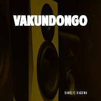 Přední strana obalu CD Vakundongo