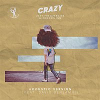 Lost Frequencies, Zonderling, David Benjamin – Crazy (Acoustic Version)