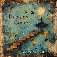 Přední strana obalu CD Dreams Come True