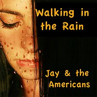 Jay, The Americans – Walkin'in the Rain