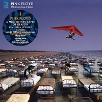 Pink Floyd – A Momentary Lapse of Reason (Remixed & Updated)) LP