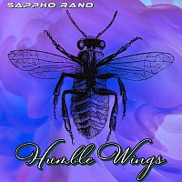 Přední strana obalu CD Humble Wings