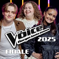 Různí interpreti – The Voice 2025: Finale