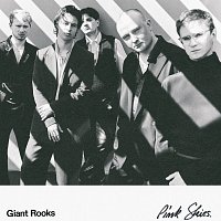 Giant Rooks – Pink Skies