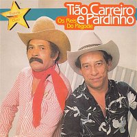 Přední strana obalu CD Estrela de Ouro (Os Reis do Pagode)