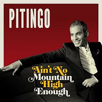 Pitingo – Ain't No Mountain High Enough (Spanish version)