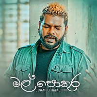 Přední strana obalu CD Mal Pokura