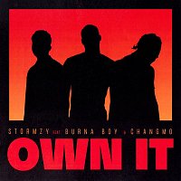 Stormzy – Own It (feat. Burna Boy & CHANGMO)