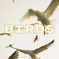 Zoo Crew – Birds