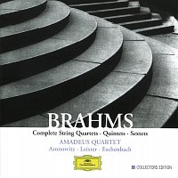 Přední strana obalu CD Brahms: Complete String Quartets, Quintets & Sextets