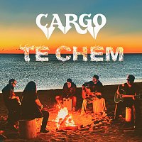 Cargo – Te chem