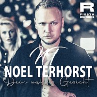 Noel Terhorst – Dein wahres Gesicht