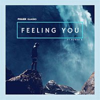Puller & Glaceo – Feeling You (feat. Norah B.)