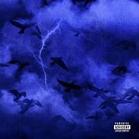 Přední strana obalu CD Chirp