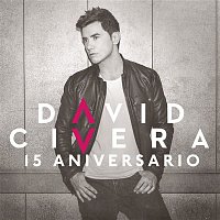 David Civera – 15 Aniversario
