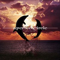 A Perfect Circle – So Long, And Thanks For All The Fish