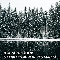 Přední strana obalu CD Waldrauschen in den Schlaf
