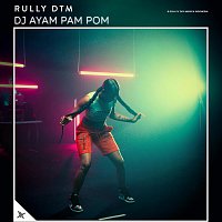 Rully Dtm – DJ Ayam Pam Pom