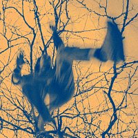 Dead Soft – I Believe You