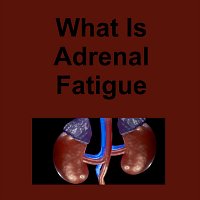 Simone Beretta – What Is Adrenal Fatigue
