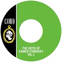 Přední strana obalu CD The Boys Of Cameo Parkway Vol. 2
