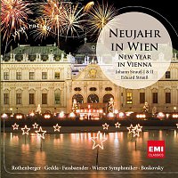 Various  Artists – Neujahr in Wien - New Year in Vienna
