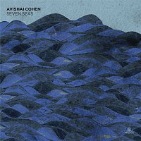 Avishai Cohen – Seven Seas MP3