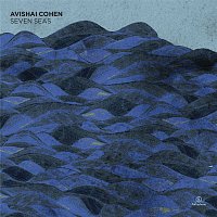 Avishai Cohen – Seven Seas