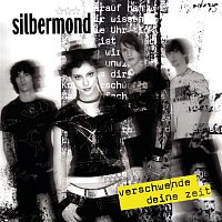 Silbermond – Verschwende deine Zeit