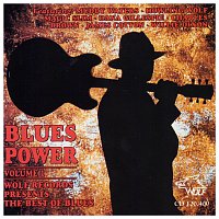 Různí interpreti – Blues Power Volume 1
