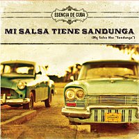 Různí interpreti – Mi Salsa Tiene Sandunga [Fiesta Edition]