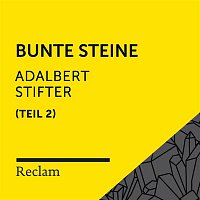 Reclam Horbucher x Heiko Ruprecht x Adalbert Stifter – Stifter: Bunte Steine II (Reclam Horbuch)