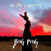 Biig Piig – The Sky Is Bleeding