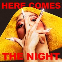 Agnes – Here Comes The Night